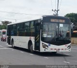 Lared 157 na cidade de Alto Paraíso de Goiás, Goiás, Brasil, por Fernando Gonzalez Garita. Número da foto: #4400947.