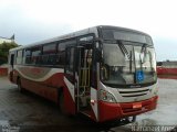 Giotur Transportes e Turismo 310109 na cidade de Anápolis, Goiás, Brasil, por Nathanael de Jesus  Azevedo. Número da foto: #4401851.