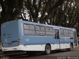 Laranjal Transportes 402 na cidade de Pelotas, Rio Grande do Sul, Brasil, por Gabriel  Morosoli. Número da foto: #4363060.