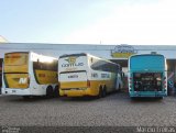 Empresa Gontijo de Transportes 14125 na cidade de Ribeirão Preto, São Paulo, Brasil, por Marcio Freitas. Número da foto: #4364876.