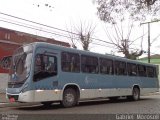 Viação Nossa Senhora Conquistadora 532 na cidade de Pelotas, Rio Grande do Sul, Brasil, por Gabriel  Morosoli. Número da foto: #4365279.