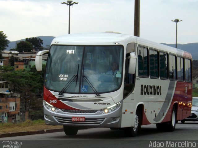 Rouxinol 540 na cidade de Belo Horizonte, Minas Gerais, Brasil, por Adão Raimundo Marcelino. ID da foto: 4404217.