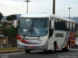 Rouxinol 540 na cidade de Belo Horizonte, Minas Gerais, Brasil, por Adão Raimundo Marcelino. Número da foto: #4404217.