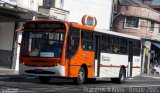 TRANSPPASS - Transporte de Passageiros 8 1387 na cidade de São Paulo, São Paulo, Brasil, por Cristiano Soares da Silva. Número da foto: #4409556.