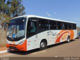 Viação Platina 2400 na cidade de Romaria, Minas Gerais, Brasil, por Fabio Duarte. Número da foto: #4411458.