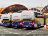 Bia Turismo > Aellos de Ouro 8219 na cidade de Aparecida, São Paulo, Brasil, por Luis Henrique Silva. Número da foto: #4416285.