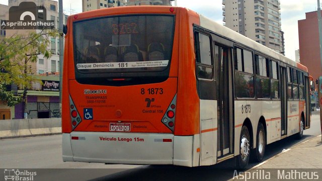 TRANSPPASS - Transporte de Passageiros 8 1873 na cidade de São Paulo, São Paulo, Brasil, por Asprilla Matheus. Número da foto: #4419685.