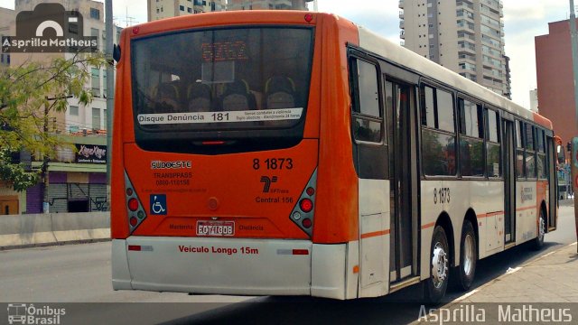 TRANSPPASS - Transporte de Passageiros 8 1873 na cidade de São Paulo, São Paulo, Brasil, por Asprilla Matheus. ID da foto: 4419685.