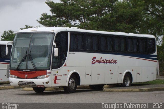 Expresso Embaixador 213 na cidade de Pelotas, Rio Grande do Sul, Brasil, por Douglas Paternezi. ID da foto: 4417879.