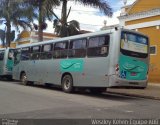 Rosa Turismo 15512 na cidade de Tatuí, São Paulo, Brasil, por Weslley Kelvin Batista. Número da foto: #:id.