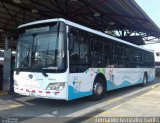 Ônibus Particulares 299 622 na cidade de Alto Paraíso de Goiás, Goiás, Brasil, por Fernando Gonzalez Garita. Número da foto: #4417032.