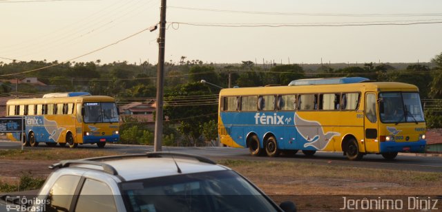 Fênix Turismo 003 na cidade de Buriti dos Lopes, Piauí, Brasil, por Jerônimo Diniz. Número da foto: #4421132.