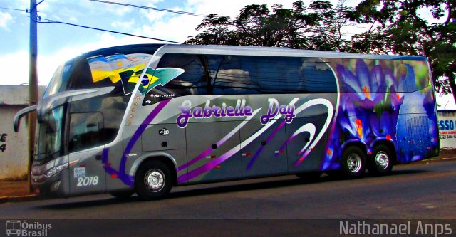Gabrielle Day 2018 na cidade de Anápolis, Goiás, Brasil, por Nathanael de Jesus  Azevedo. Número da foto: #4420752.