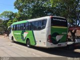 Setelagoano 12115 na cidade de Cordisburgo, Minas Gerais, Brasil, por Vítor Dias. Número da foto: #4423028.