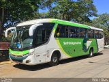 Setelagoano 12115 na cidade de Cordisburgo, Minas Gerais, Brasil, por Vítor Dias. Número da foto: #4423033.