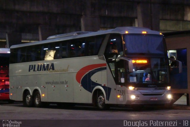 Pluma Conforto e Turismo 7239 na cidade de Curitiba, Paraná, Brasil, por Douglas Paternezi. Número da foto: #4366611.