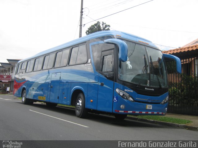 Ônibus Particulares 00 na cidade de Alto Alegre, Roraima, Brasil, por Fernando Gonzalez Garita. Número da foto: #4367465.