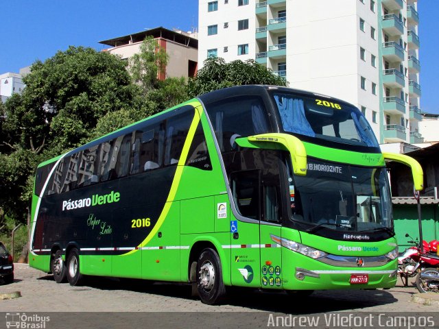 Pássaro Verde 2016 na cidade de Viçosa, Minas Gerais, Brasil, por Andrew Campos. Número da foto: #4367268.