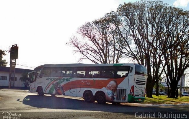 Empresa de Transportes Andorinha 6063 na cidade de Campo Grande, Mato Grosso do Sul, Brasil, por Gabriel Rodrigues. Número da foto: #4366664.