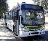 Viação Penha Rio B10551 na cidade de Rio de Janeiro, Rio de Janeiro, Brasil, por David Cesar Ferrão . Número da foto: #:id.