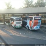 Empresa de Transportes Andorinha 6150 na cidade de Ribeirão Preto, São Paulo, Brasil, por Cicero Augusto. Número da foto: #:id.