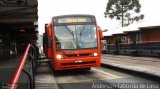 Transporte Coletivo Glória BD145 na cidade de Curitiba, Paraná, Brasil, por Anderson Taborda de Lima. Número da foto: #4367745.