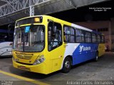 Viação Sudeste 8138 na cidade de Guarapari, Espírito Santo, Brasil, por Antonio Carlos Fernandes. Número da foto: #4425224.
