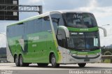 Pássaro Verde 12126 na cidade de Osasco, São Paulo, Brasil, por Douglas Paternezi. Número da foto: #4426241.