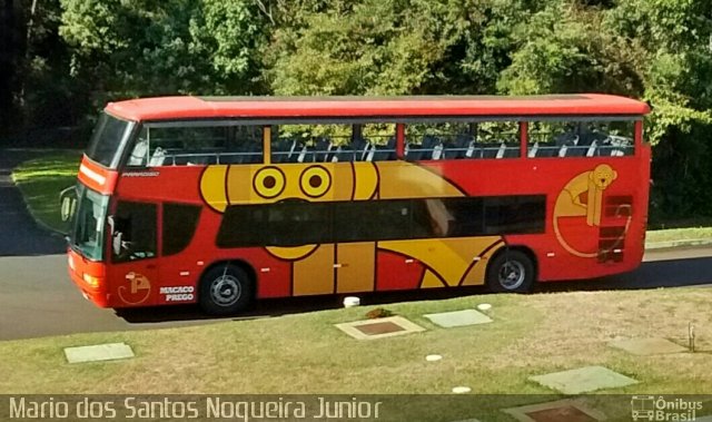 Parque Nacional do Iguaçu MACACO-PREGO na cidade de Foz do Iguaçu, Paraná, Brasil, por Mario dos Santos Nogueira Junior. Número da foto: #4426639.