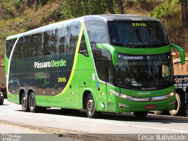 Pássaro Verde 2015 na cidade de Mariana, Minas Gerais, Brasil, por César Natividade. Número da foto: #4370050.