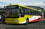 Buses Metropoli 00 na cidade de Alto Paraíso de Goiás, Goiás, Brasil, por Fernando Gonzalez Garita. Número da foto: #4369753.