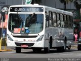 Bento Transportes 295 na cidade de Bento Gonçalves, Rio Grande do Sul, Brasil, por Mauricio Peres Rodrigues. Número da foto: #:id.