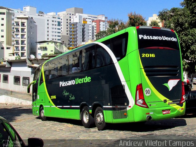 Pássaro Verde 2016 na cidade de Viçosa, Minas Gerais, Brasil, por Andrew Campos. Número da foto: #4371473.