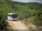 Via Brasil 4458 na cidade de Maranguape, Ceará, Brasil, por Antonio Roberto Alves da Silva. Número da foto: #4371503.