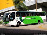 Pássaro Verde 27009 na cidade de Belo Horizonte, Minas Gerais, Brasil, por César Natividade. Número da foto: #:id.