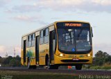 Viação Garcia 7655 na cidade de Apucarana, Paraná, Brasil, por Pedroka Ternoski. Número da foto: #4375594.