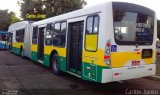 Volvo 2559 na cidade de Goiânia, Goiás, Brasil, por Carlos Júnior. Número da foto: #4381240.