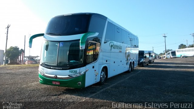 Floresta Turismo 1030 na cidade de São Paulo, São Paulo, Brasil, por Guilherme Esteves Peruzzi. Número da foto: #4430447.