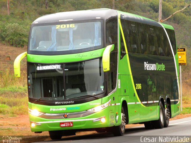 Pássaro Verde 2016 na cidade de Mariana, Minas Gerais, Brasil, por César Natividade. Número da foto: #4430135.