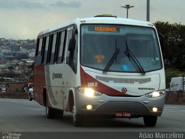 Rouxinol 082 na cidade de Belo Horizonte, Minas Gerais, Brasil, por Adão Raimundo Marcelino. Número da foto: #4430065.