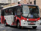 Cooperselc - Cooperativa dos Trabalhadores Autônomos em Transporte Coletivo 477 na cidade de Campinas, São Paulo, Brasil, por João Silva. Número da foto: #4429039.