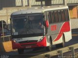 Giotur Transportes e Turismo 20679 na cidade de Anápolis, Goiás, Brasil, por Nathanael de Jesus  Azevedo. Número da foto: #4430437.