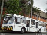 Viação Gatusa Transportes Urbanos 7 6602 na cidade de São Paulo, São Paulo, Brasil, por Bruno   Studer. Número da foto: #4429286.