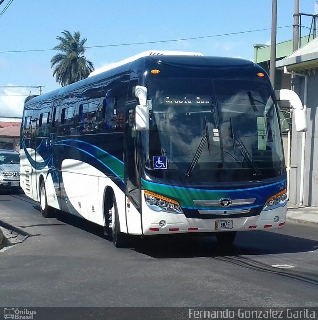 TUAN RL AB 6875 na cidade de Alto Paraíso de Goiás, Goiás, Brasil, por Fernando Gonzalez Garita. Número da foto: #4450649.