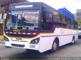 Buses San Miguel Higuito BUSMI 08 na cidade de Alto Paraíso de Goiás, Goiás, Brasil, por Fernando Gonzalez Garita. Número da foto: #4450715.