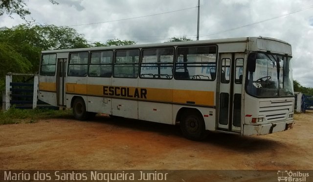 Escolares 8047 na cidade de Piritiba, Bahia, Brasil, por Mario dos Santos Nogueira Junior. ID da foto: 4452935.