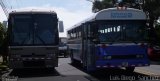 Ônibus Particulares HB 3303 na cidade de , por Luis Diego  Sánchez. ID da foto: :id.