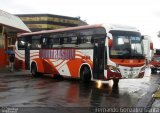 Comtrasuli 108 na cidade de Alto Paraíso de Goiás, Goiás, Brasil, por Fernando Gonzalez Garita. Número da foto: #4452250.