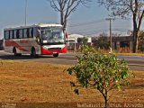 Giotur Transportes e Turismo 20679 na cidade de Anápolis, Goiás, Brasil, por Nathanael de Jesus  Azevedo. Número da foto: #4453753.