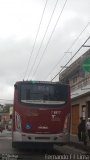 Transwolff Transportes e Turismo 7 8877 na cidade de São Paulo, São Paulo, Brasil, por Fernando Félix Ferreira Lima. Número da foto: #4455029.